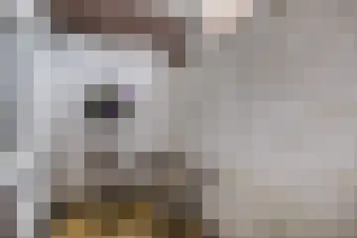 H.J. Schimmelplein 12 Utrecht thumbnail 16