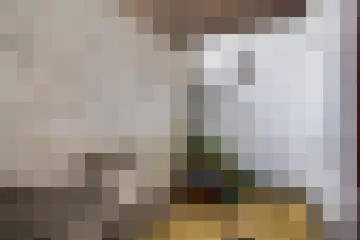 H.J. Schimmelplein 12 Utrecht thumbnail 17