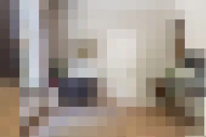 H.J. Schimmelplein 12 Utrecht thumbnail 20