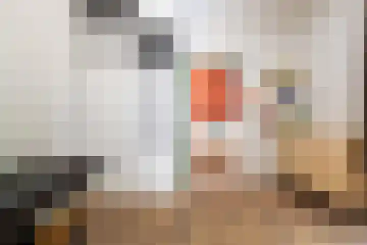 H.J. Schimmelplein 12 Utrecht thumbnail 24