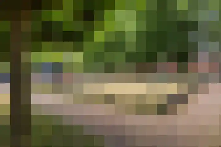 H.J. Schimmelplein 12 Utrecht thumbnail 30