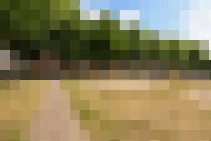 H.J. Schimmelplein 12 Utrecht thumbnail 31
