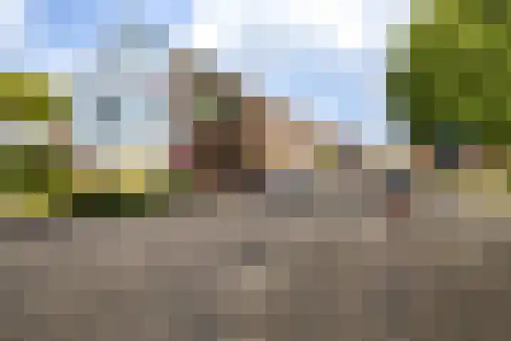 H.J. Schimmelplein 12 Utrecht thumbnail 32