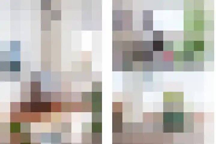 H.J. Schimmelplein 14 Utrecht thumbnail 10