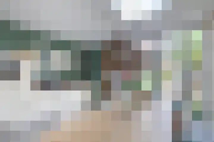 H.J. Schimmelplein 14 Utrecht thumbnail 15