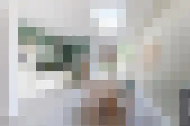 H.J. Schimmelplein 14 Utrecht thumbnail 18