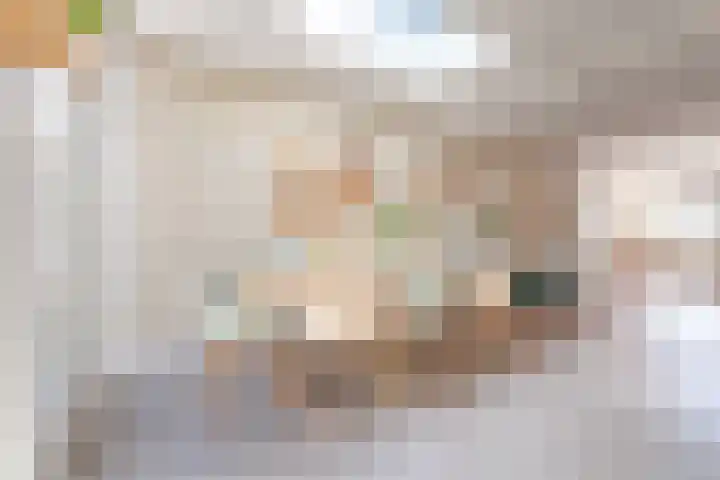 H.J. Schimmelplein 14 Utrecht thumbnail 19