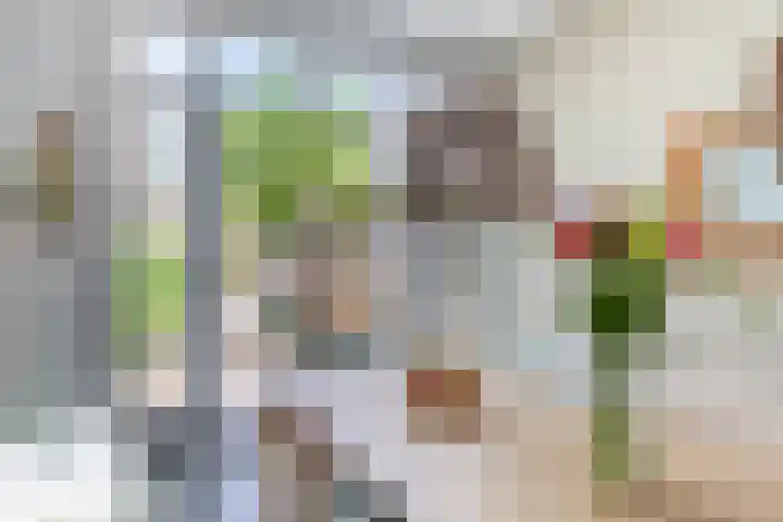 H.J. Schimmelplein 14 Utrecht thumbnail 22