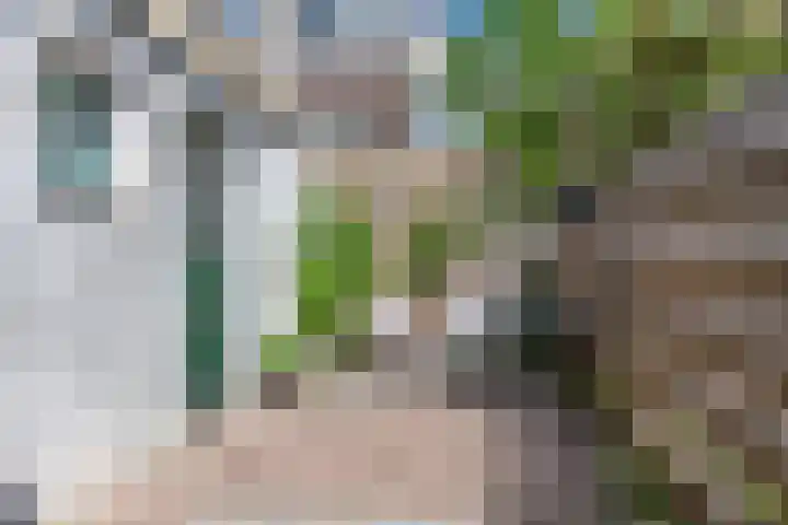 H.J. Schimmelplein 14 Utrecht thumbnail 24