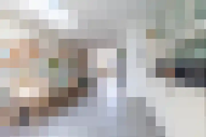 H.J. Schimmelplein 14 Utrecht thumbnail 26