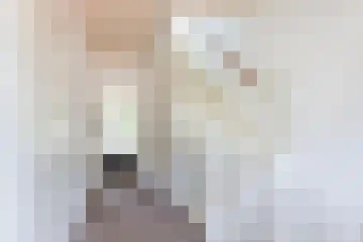 H.J. Schimmelplein 14 Utrecht thumbnail 30