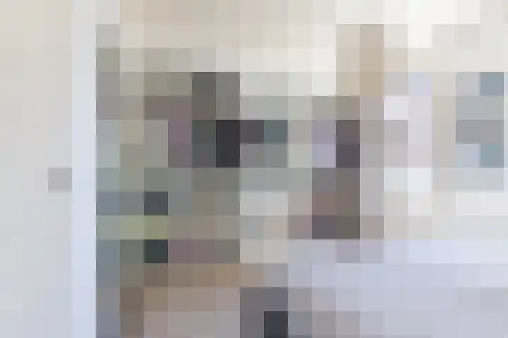 H.J. Schimmelplein 14 Utrecht thumbnail 33