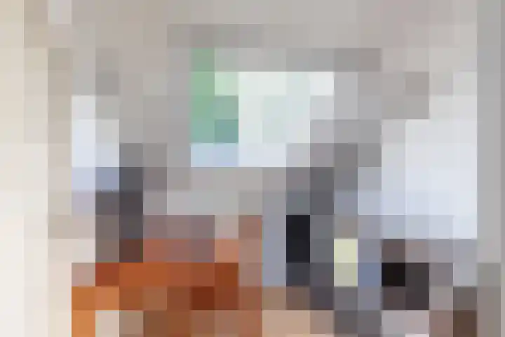H.J. Schimmelplein 14 Utrecht thumbnail 48