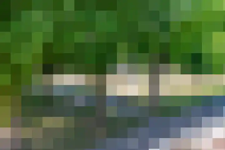 H.J. Schimmelplein 14 Utrecht thumbnail 52