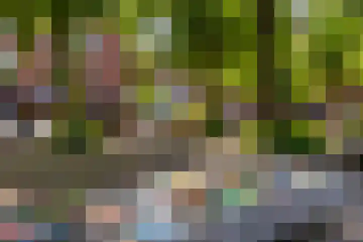 H.J. Schimmelplein 14 Utrecht thumbnail 53