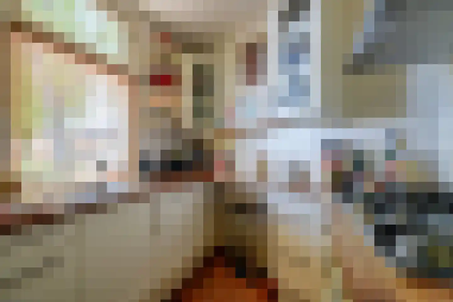 H.J. Schimmelplein 31 Utrecht thumbnail 19