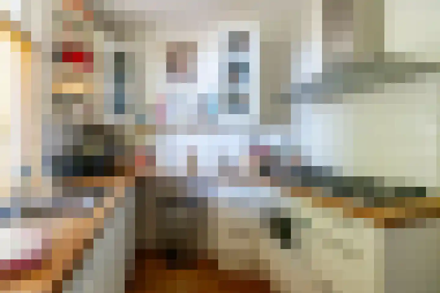 H.J. Schimmelplein 31 Utrecht thumbnail 20