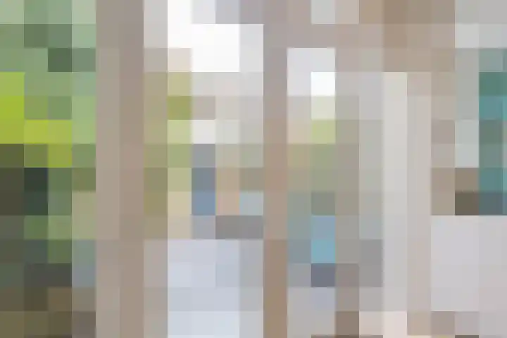 H.J. Schimmelplein 33 Utrecht thumbnail 18
