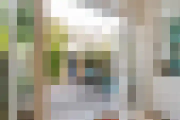 H.J. Schimmelplein 33 Utrecht thumbnail 19