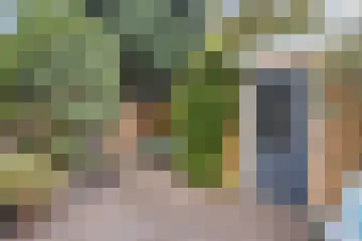 H.J. Schimmelplein 33 Utrecht thumbnail 21