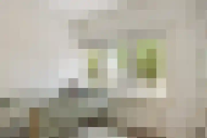H.J. Schimmelplein 33 Utrecht thumbnail 33