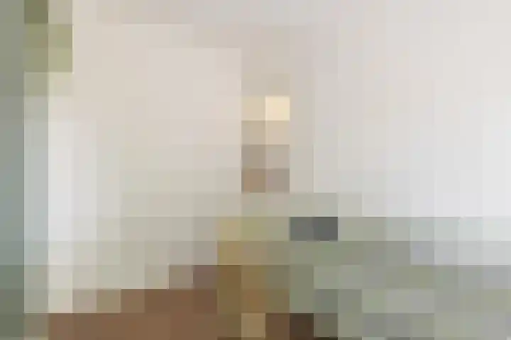H.J. Schimmelplein 33 Utrecht thumbnail 34