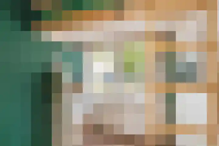H.J. Schimmelplein 33 Utrecht thumbnail 36