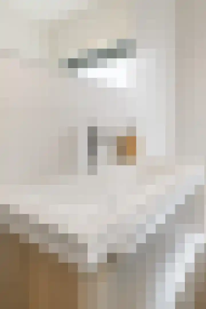 H.J. Schimmelplein 33 Utrecht thumbnail 38