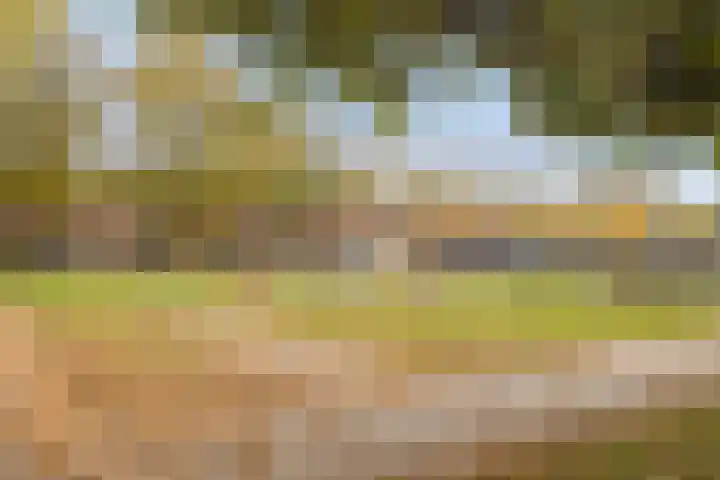 H.J. Schimmelplein 33 Utrecht thumbnail 53