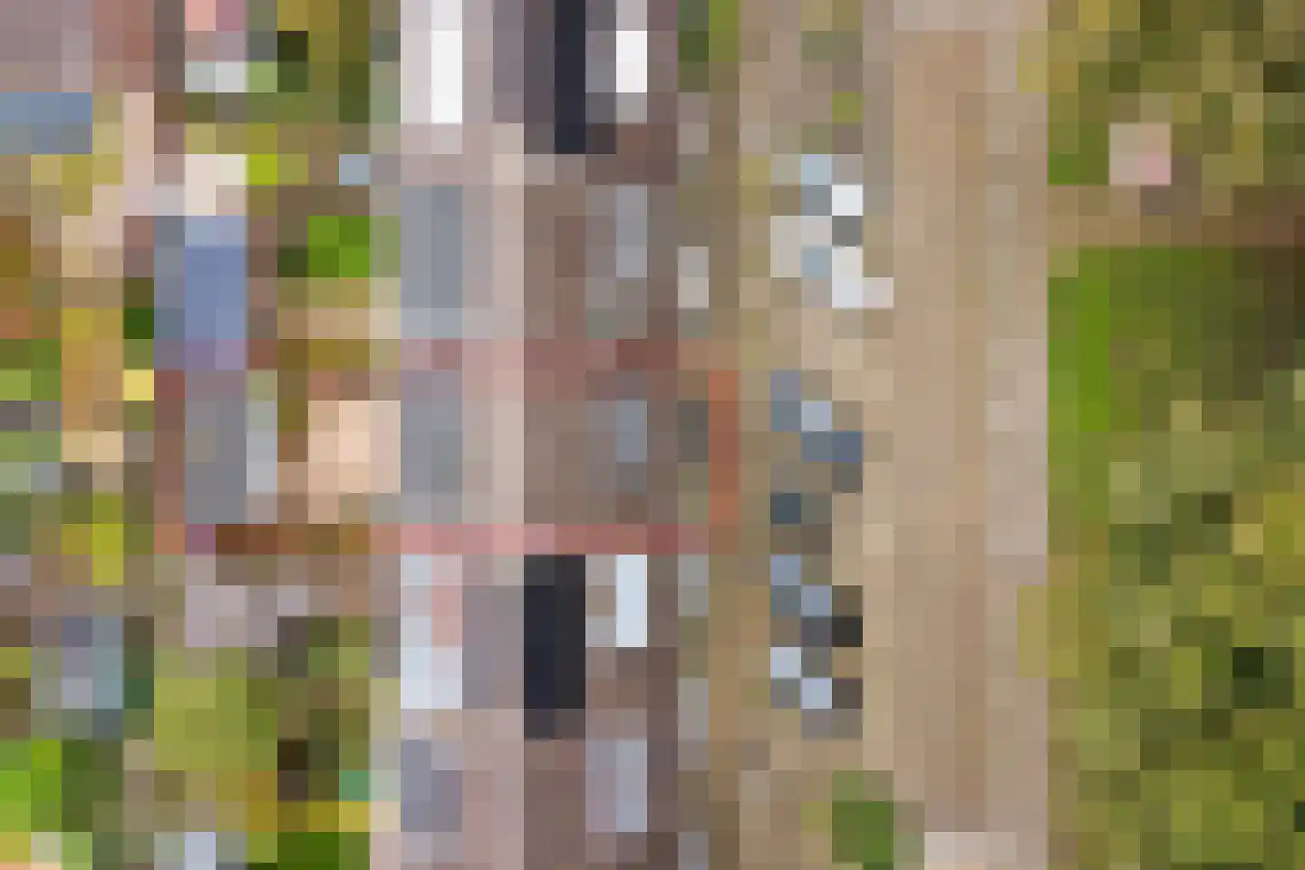 H.J. Schimmelplein 41 Utrecht thumbnail 35