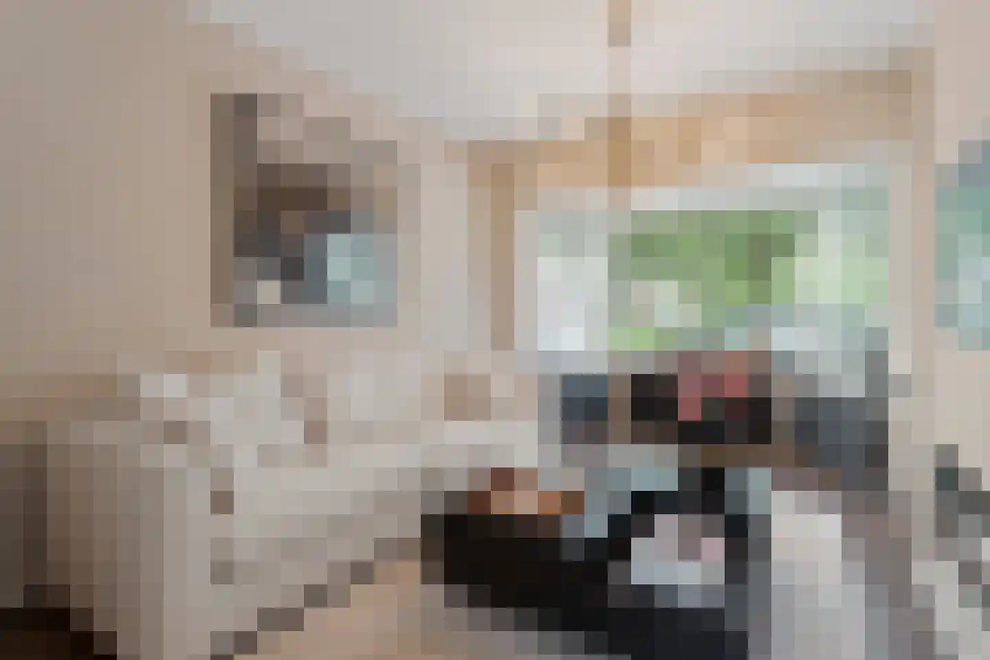 H.J. Schimmelplein 41 Utrecht thumbnail 4