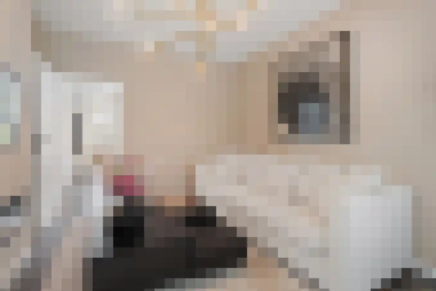 H.J. Schimmelplein 41 Utrecht thumbnail 8