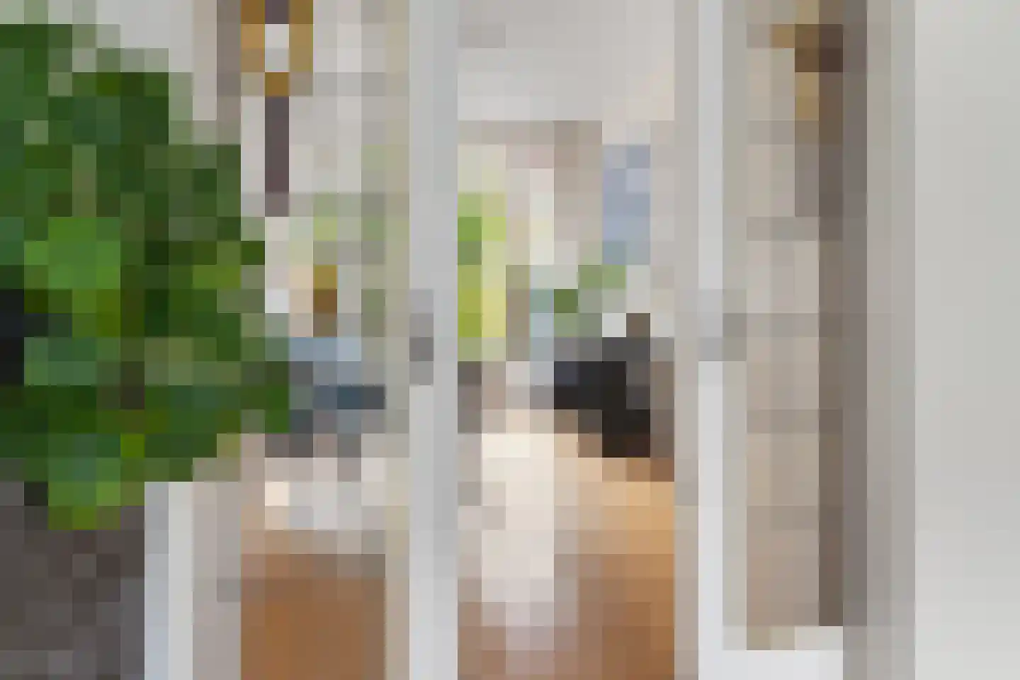 H.J. Schimmelstraat 11 Utrecht thumbnail 13
