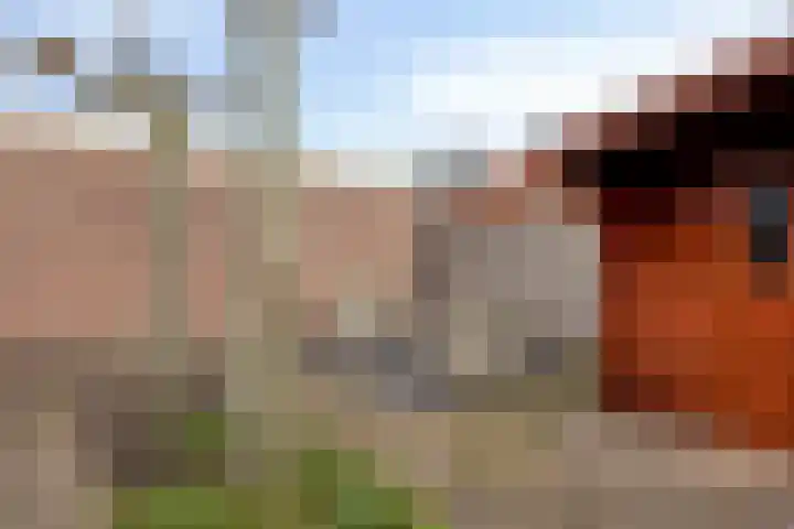 H.J. Topstraat 13 Veendam thumbnail 36