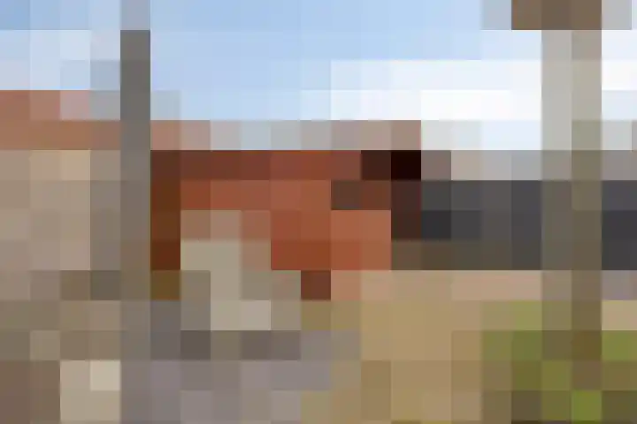H.J. Topstraat 13 Veendam thumbnail 37