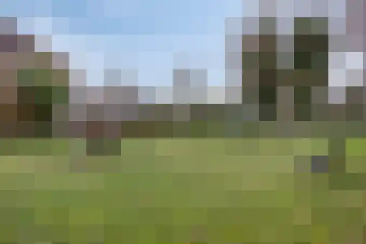 H.J. Topstraat 13 Veendam thumbnail 42