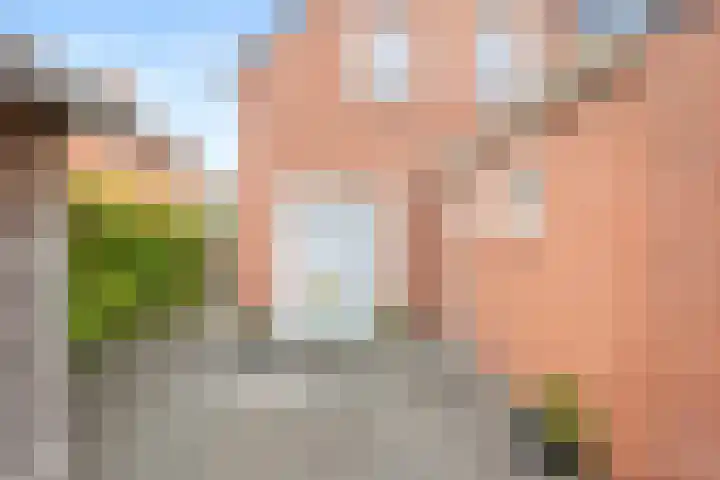H.J. Topstraat 25 Veendam thumbnail 27