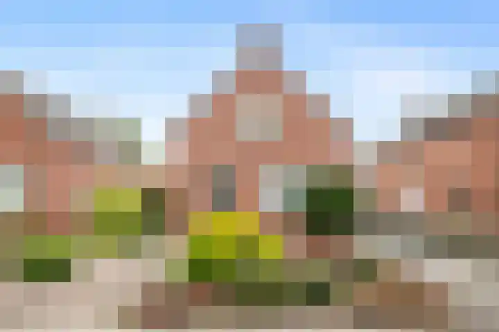 H.J. Topstraat 25 Veendam thumbnail 30