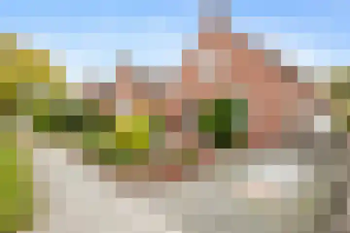 H.J. Topstraat 25 Veendam thumbnail 31