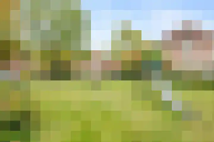 H.J. Topstraat 25 Veendam thumbnail 34