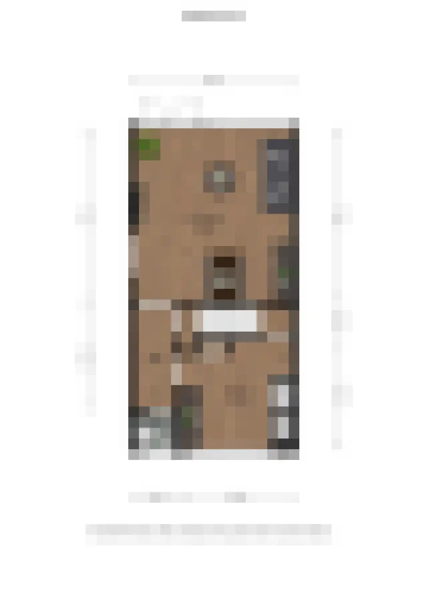H.J. Topstraat 47 Veendam thumbnail 37