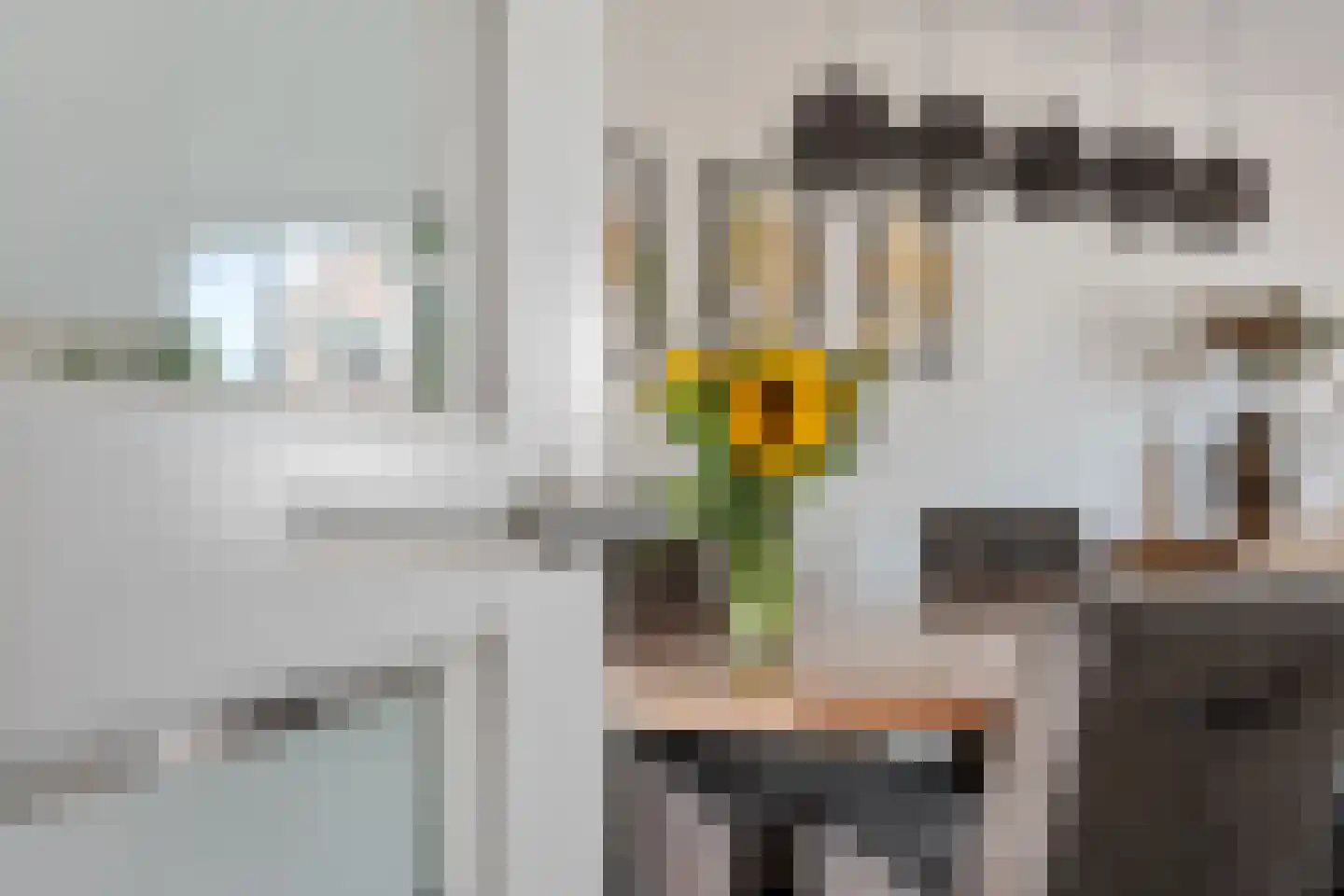 H.J. Topstraat 5 Veendam thumbnail 8