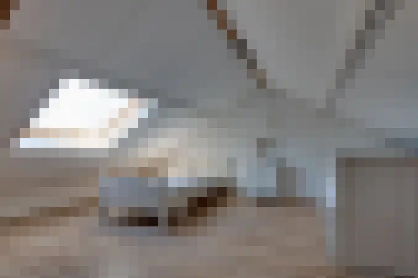 H.J. van der Veenstrjitte 3 Surhuizum thumbnail 32