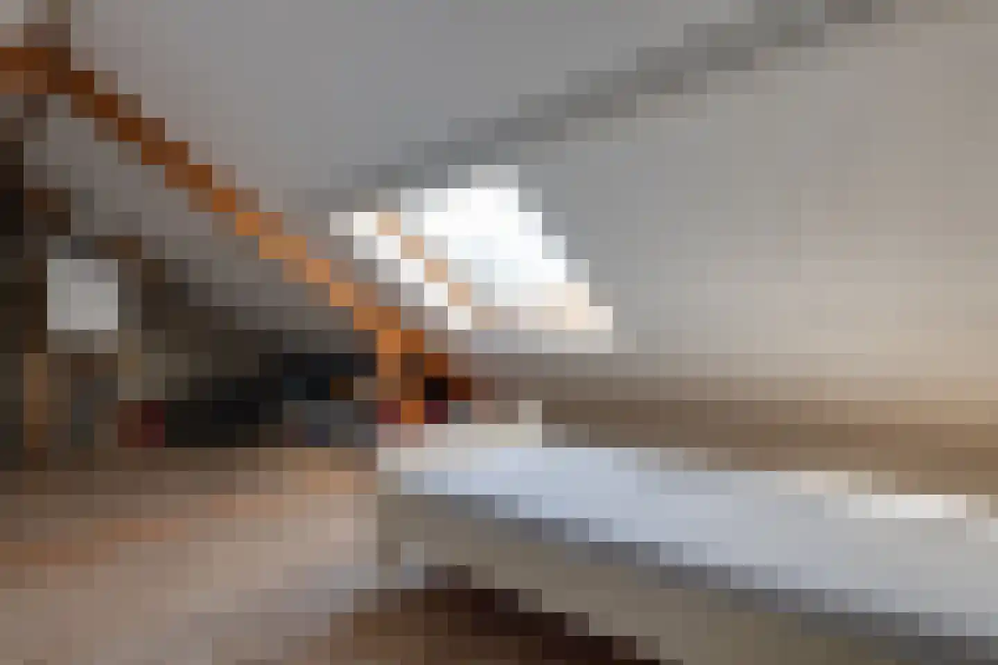 H.J. van der Veenstrjitte 3 Surhuizum thumbnail 34