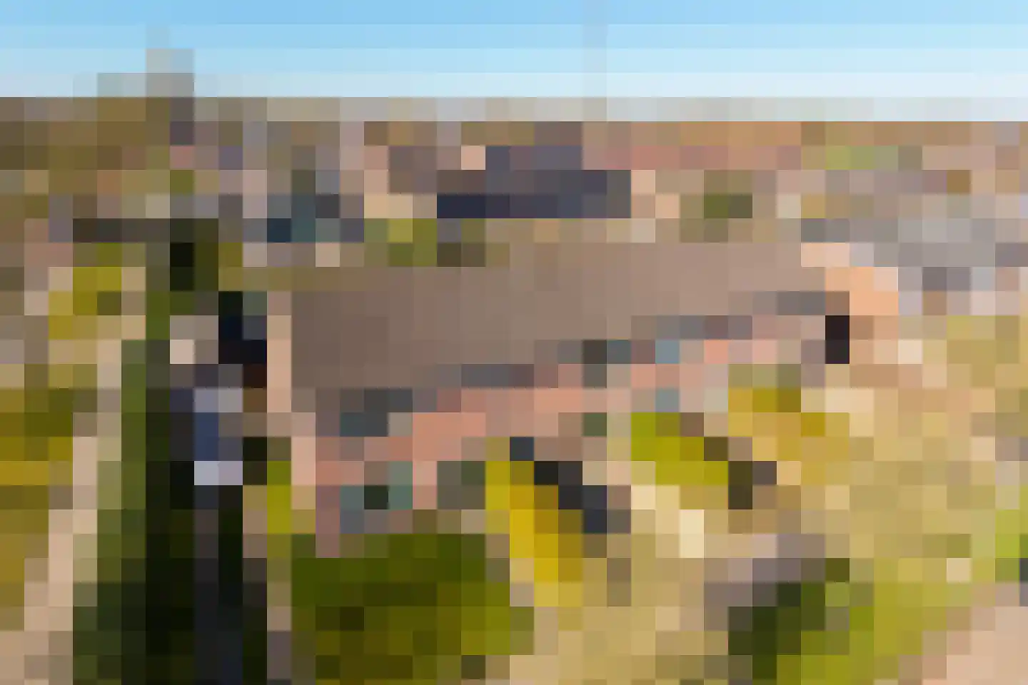 H.J. van der Veenstrjitte 3 Surhuizum thumbnail 43