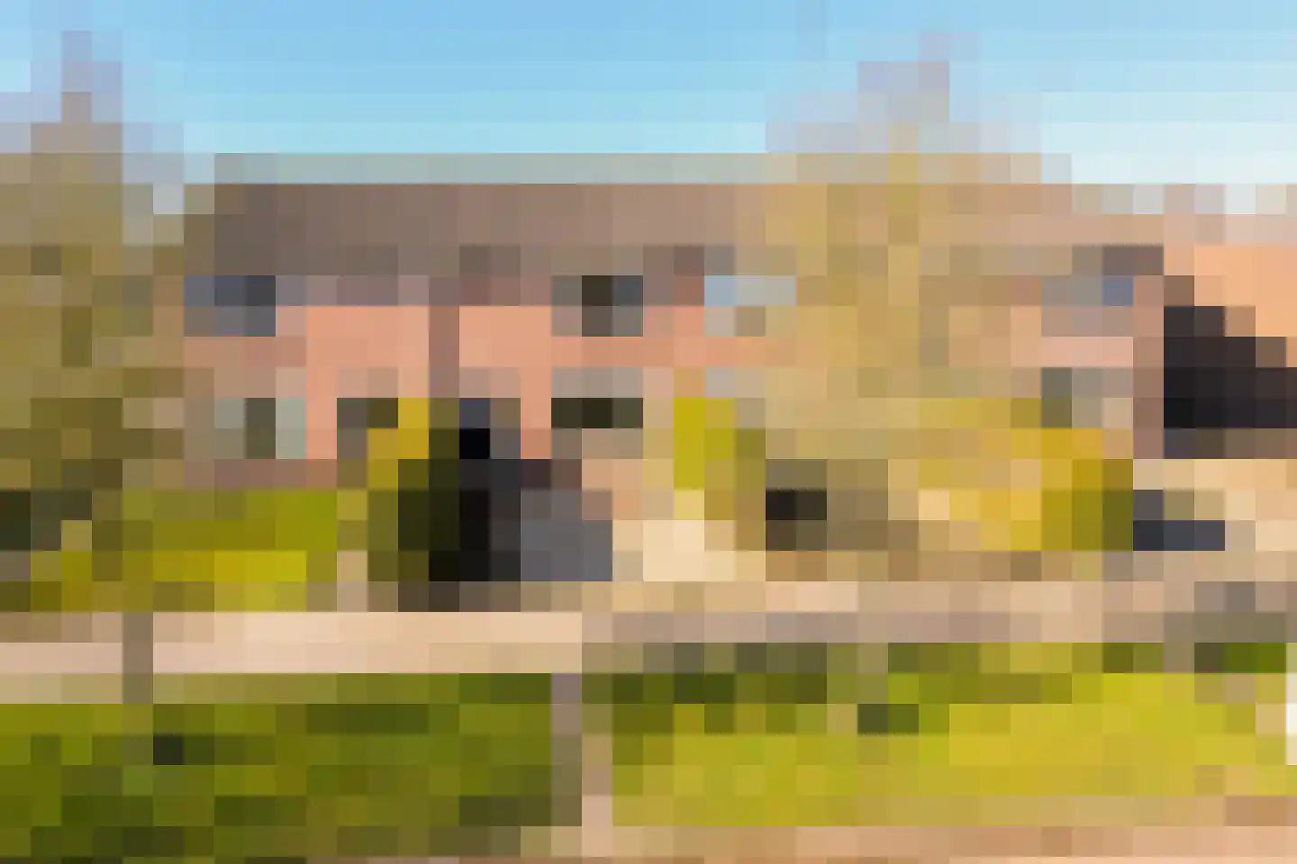 H.J. van der Veenstrjitte 3 Surhuizum thumbnail 45