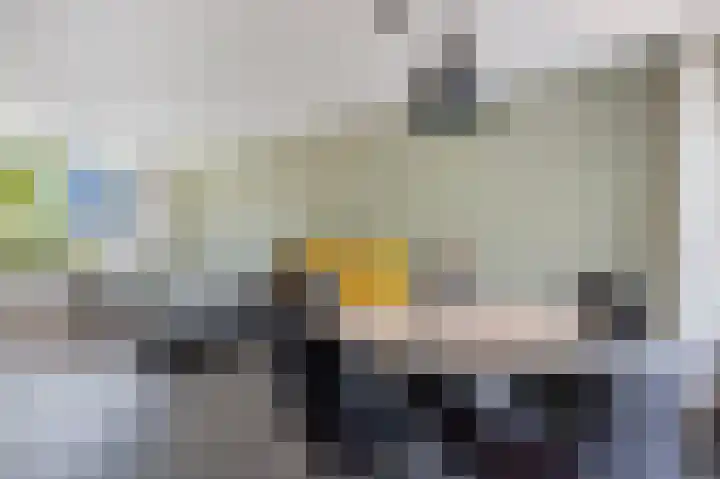 H.J. van der Veenstrjitte 9 Surhuizum thumbnail 16