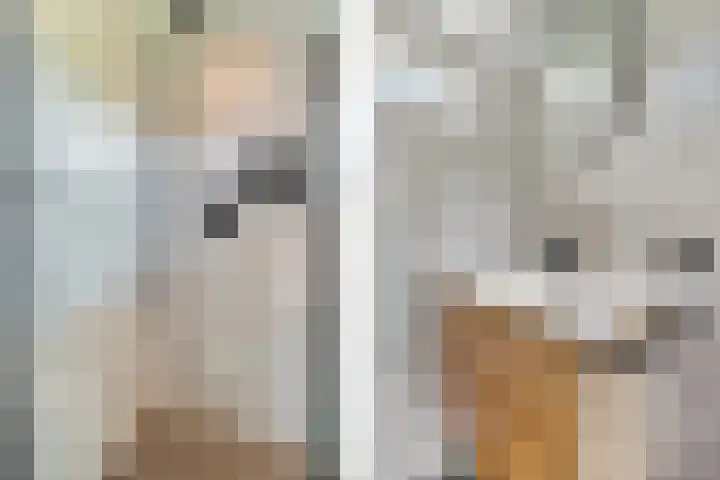 H.J. van der Veenstrjitte 9 Surhuizum thumbnail 23