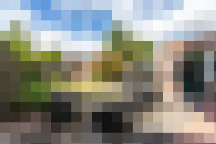 H.J. van der Veenstrjitte 9 Surhuizum thumbnail 30
