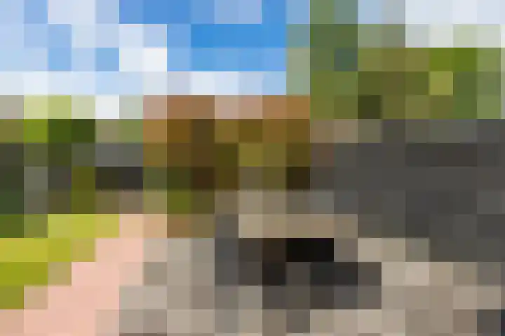 H.J. van der Veenstrjitte 9 Surhuizum thumbnail 32